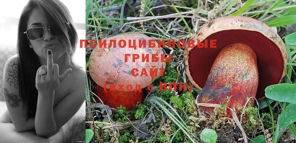 винт Алзамай